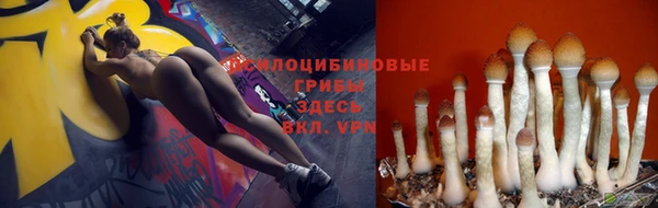 синтетический гашиш Балахна