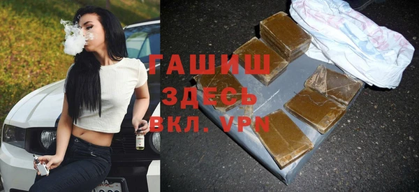 apvp Инсар